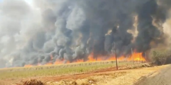 BRASIL TEM RECORDES DE FOCOS DE INCÊNDIO NO MÊS DE AGOSTO!